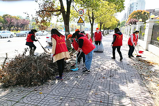玄武湖街道“五老”志愿者积极参与爱国卫生月环境整治行动 (3).jpg