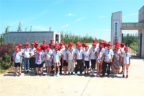 南京市第六届中小学生科技夏令营 (4).jpg