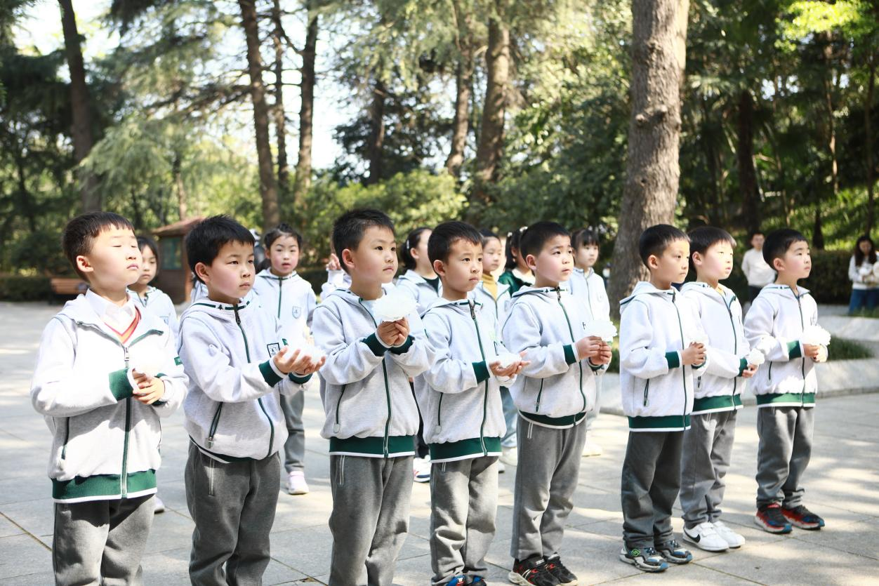 图片 13.png